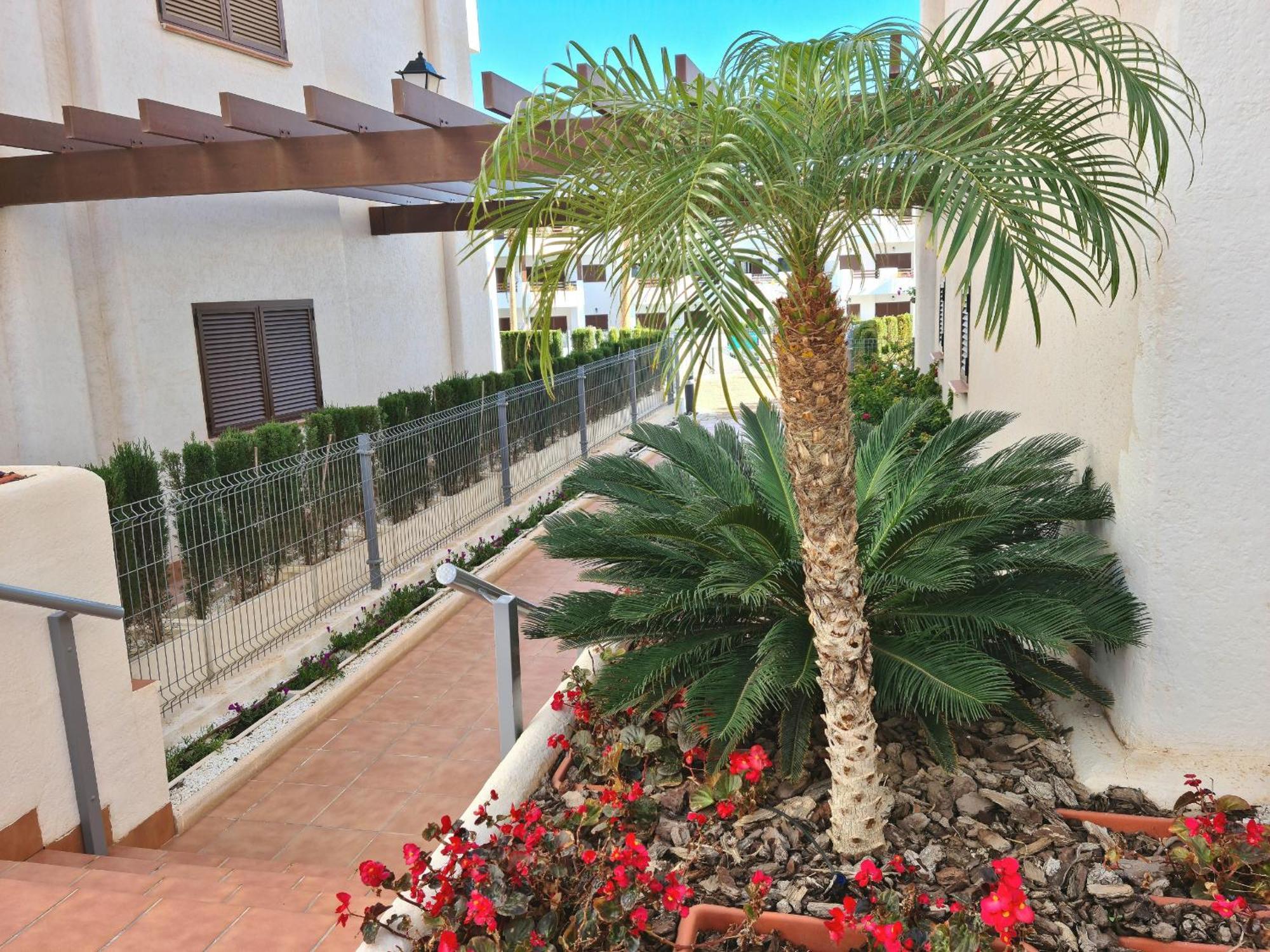 El Sueno Διαμέρισμα San Juan de los Terreros Εξωτερικό φωτογραφία